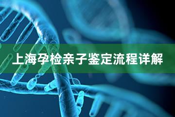 上海孕检亲子鉴定流程详解